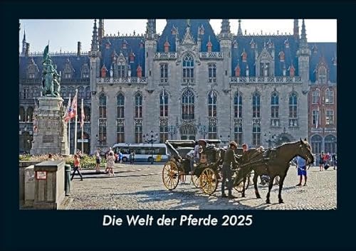 Die Welt der Pferde 2025 Fotokalender DIN A5: Monatskalender mit Bild-Motiven von Haustieren, Bauernhof, wilden Tieren und Raubtieren Die Welt der Pferde 2025 Fotokalender DIN A5: Monatskalender mit Bild-Motiven von Haustieren, Bauernhof, wilden Tieren und Raubtieren