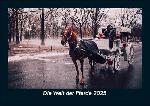 Die Welt der Pferde 2025 Fotokalender DIN A5: Monatskalender mit Bild-Motiven von Haustieren, Bauernhof, wilden Tieren und Raubtieren Die Welt der Pferde 2025 Fotokalender DIN A5: Monatskalender mit Bild-Motiven von Haustieren, Bauernhof, wilden Tieren und Raubtieren