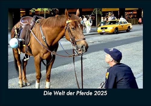 Die Welt der Pferde 2025 Fotokalender DIN A5: Monatskalender mit Bild-Motiven von Haustieren, Bauernhof, wilden Tieren und Raubtieren Die Welt der Pferde 2025 Fotokalender DIN A5: Monatskalender mit Bild-Motiven von Haustieren, Bauernhof, wilden Tieren und Raubtieren