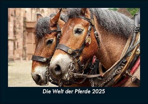 Die Welt der Pferde 2025 Fotokalender DIN A5: Monatskalender mit Bild-Motiven von Haustieren, Bauernhof, wilden Tieren und Raubtieren Die Welt der Pferde 2025 Fotokalender DIN A5: Monatskalender mit Bild-Motiven von Haustieren, Bauernhof, wilden Tieren und Raubtieren