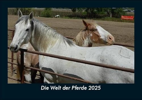 Die Welt der Pferde 2025 Fotokalender DIN A5: Monatskalender mit Bild-Motiven von Haustieren, Bauernhof, wilden Tieren und Raubtieren Die Welt der Pferde 2025 Fotokalender DIN A5: Monatskalender mit Bild-Motiven von Haustieren, Bauernhof, wilden Tieren und Raubtieren