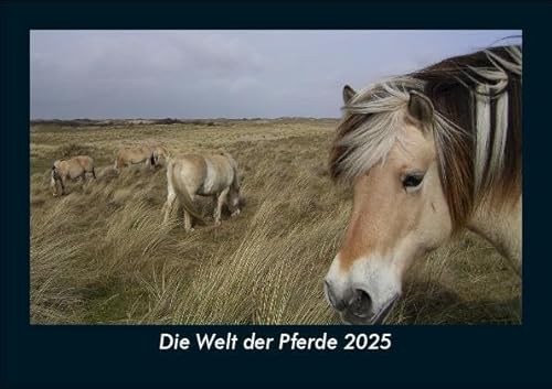 Die Welt der Pferde 2025 Fotokalender DIN A5: Monatskalender mit Bild-Motiven von Haustieren, Bauernhof, wilden Tieren und Raubtieren Die Welt der Pferde 2025 Fotokalender DIN A5: Monatskalender mit Bild-Motiven von Haustieren, Bauernhof, wilden Tieren und Raubtieren