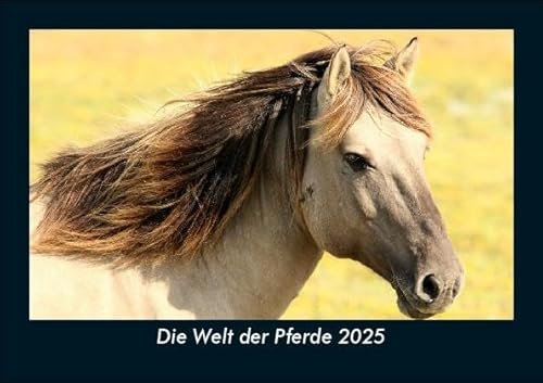 Die Welt der Pferde 2025 Fotokalender DIN A5: Monatskalender mit Bild-Motiven von Haustieren, Bauernhof, wilden Tieren und Raubtieren Die Welt der Pferde 2025 Fotokalender DIN A5: Monatskalender mit Bild-Motiven von Haustieren, Bauernhof, wilden Tieren und Raubtieren