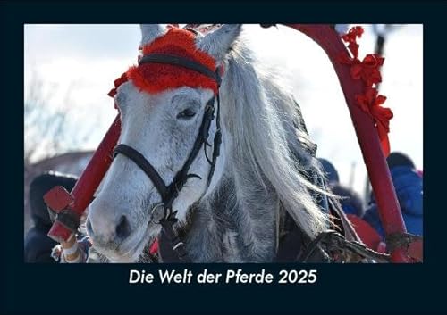 Die Welt der Pferde 2025 Fotokalender DIN A5: Monatskalender mit Bild-Motiven von Haustieren, Bauernhof, wilden Tieren und Raubtieren Die Welt der Pferde 2025 Fotokalender DIN A5: Monatskalender mit Bild-Motiven von Haustieren, Bauernhof, wilden Tieren und Raubtieren