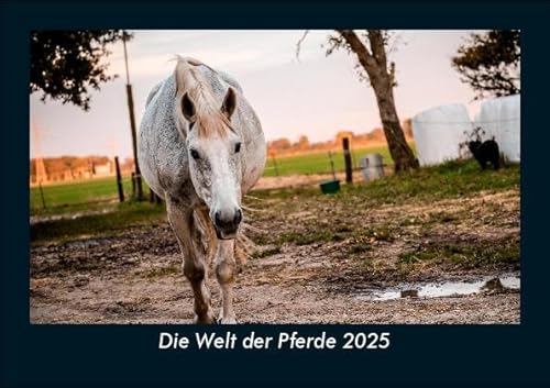Die Welt der Pferde 2025 Fotokalender DIN A5: Monatskalender mit Bild-Motiven von Haustieren, Bauernhof, wilden Tieren und Raubtieren Die Welt der Pferde 2025 Fotokalender DIN A5: Monatskalender mit Bild-Motiven von Haustieren, Bauernhof, wilden Tieren und Raubtieren