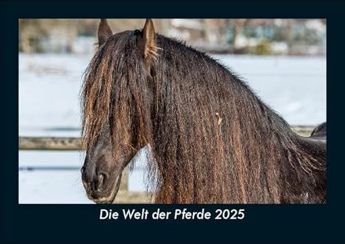 Die Welt der Pferde 2025 Fotokalender DIN A5: Monatskalender mit Bild-Motiven von Haustieren, Bauernhof, wilden Tieren und Raubtieren Die Welt der Pferde 2025 Fotokalender DIN A5: Monatskalender mit Bild-Motiven von Haustieren, Bauernhof, wilden Tieren und Raubtieren