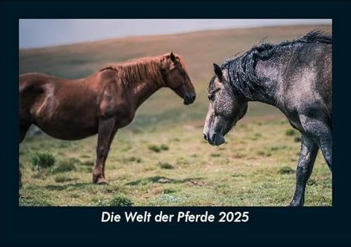 Die Welt der Pferde 2025 Fotokalender DIN A5: Monatskalender mit Bild-Motiven von Haustieren, Bauernhof, wilden Tieren und Raubtieren Die Welt der Pferde 2025 Fotokalender DIN A5: Monatskalender mit Bild-Motiven von Haustieren, Bauernhof, wilden Tieren und Raubtieren