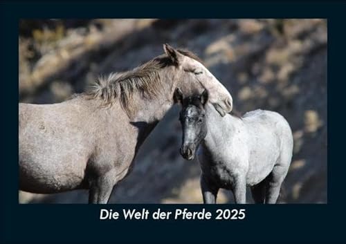 Die Welt der Pferde 2025 Fotokalender DIN A5: Monatskalender mit Bild-Motiven von Haustieren, Bauernhof, wilden Tieren und Raubtieren Die Welt der Pferde 2025 Fotokalender DIN A5: Monatskalender mit Bild-Motiven von Haustieren, Bauernhof, wilden Tieren und Raubtieren
