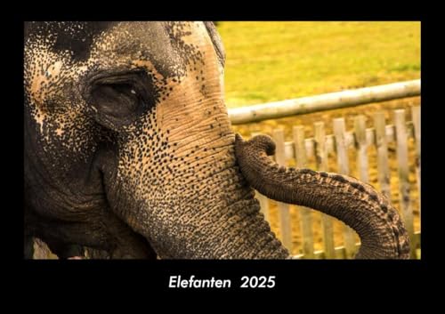 Elefanten 2025 Fotokalender DIN A3: Monatskalender mit Bild-Motiven von Haustieren, Bauernhof, wilden Tieren und Raubtieren Elefanten 2025 Fotokalender DIN A3: Monatskalender mit Bild-Motiven von Haustieren, Bauernhof, wilden Tieren und Raubtieren
