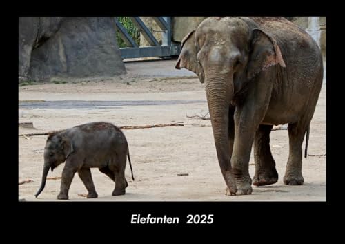 Elefanten 2025 Fotokalender DIN A3: Monatskalender mit Bild-Motiven von Haustieren, Bauernhof, wilden Tieren und Raubtieren Elefanten 2025 Fotokalender DIN A3: Monatskalender mit Bild-Motiven von Haustieren, Bauernhof, wilden Tieren und Raubtieren