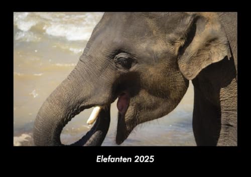 Elefanten 2025 Fotokalender DIN A3: Monatskalender mit Bild-Motiven von Haustieren, Bauernhof, wilden Tieren und Raubtieren Elefanten 2025 Fotokalender DIN A3: Monatskalender mit Bild-Motiven von Haustieren, Bauernhof, wilden Tieren und Raubtieren