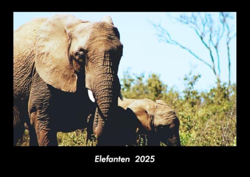 Elefanten 2025 Fotokalender DIN A3: Monatskalender mit Bild-Motiven von Haustieren, Bauernhof, wilden Tieren und Raubtieren Elefanten 2025 Fotokalender DIN A3: Monatskalender mit Bild-Motiven von Haustieren, Bauernhof, wilden Tieren und Raubtieren