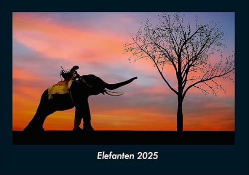 Elefanten 2025 Fotokalender DIN A4: Monatskalender mit Bild-Motiven aus Fauna und Flora, Natur, Blumen und Pflanzen Elefanten 2025 Fotokalender DIN A4: Monatskalender mit Bild-Motiven aus Fauna und Flora, Natur, Blumen und Pflanzen