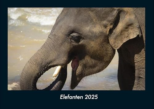 Elefanten 2025 Fotokalender DIN A4: Monatskalender mit Bild-Motiven von Haustieren, Bauernhof, wilden Tieren und Raubtieren Elefanten 2025 Fotokalender DIN A4: Monatskalender mit Bild-Motiven von Haustieren, Bauernhof, wilden Tieren und Raubtieren
