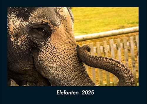 Elefanten 2025 Fotokalender DIN A4: Monatskalender mit Bild-Motiven von Haustieren, Bauernhof, wilden Tieren und Raubtieren Elefanten 2025 Fotokalender DIN A4: Monatskalender mit Bild-Motiven von Haustieren, Bauernhof, wilden Tieren und Raubtieren