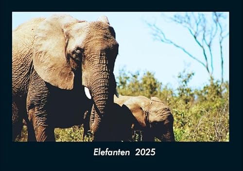 Elefanten 2025 Fotokalender DIN A4: Monatskalender mit Bild-Motiven von Haustieren, Bauernhof, wilden Tieren und Raubtieren Elefanten 2025 Fotokalender DIN A4: Monatskalender mit Bild-Motiven von Haustieren, Bauernhof, wilden Tieren und Raubtieren