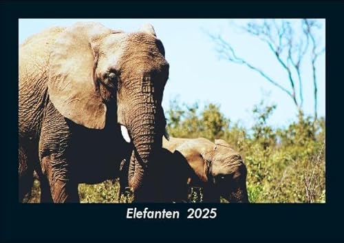 Elefanten 2025 Fotokalender DIN A5: Monatskalender mit Bild-Motiven von Haustieren, Bauernhof, wilden Tieren und Raubtieren Elefanten 2025 Fotokalender DIN A5: Monatskalender mit Bild-Motiven von Haustieren, Bauernhof, wilden Tieren und Raubtieren