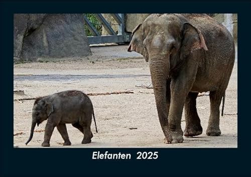 Elefanten 2025 Fotokalender DIN A5: Monatskalender mit Bild-Motiven von Haustieren, Bauernhof, wilden Tieren und Raubtieren Elefanten 2025 Fotokalender DIN A5: Monatskalender mit Bild-Motiven von Haustieren, Bauernhof, wilden Tieren und Raubtieren