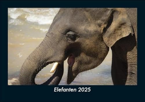 Elefanten 2025 Fotokalender DIN A5: Monatskalender mit Bild-Motiven von Haustieren, Bauernhof, wilden Tieren und Raubtieren Elefanten 2025 Fotokalender DIN A5: Monatskalender mit Bild-Motiven von Haustieren, Bauernhof, wilden Tieren und Raubtieren