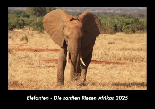 Elefanten - Die sanften Riesen Afrikas 2025 Fotokalender DIN A3: Monatskalender mit Bild-Motiven von Haustieren, Bauernhof, wilden Tieren und Raubtieren Elefanten - Die sanften Riesen Afrikas 2025 Fotokalender DIN A3: Monatskalender mit Bild-Motiven von Haustieren, Bauernhof, wilden Tieren und Raubtieren