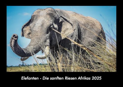 Elefanten - Die sanften Riesen Afrikas 2025 Fotokalender DIN A3: Monatskalender mit Bild-Motiven von Haustieren, Bauernhof, wilden Tieren und Raubtieren Elefanten - Die sanften Riesen Afrikas 2025 Fotokalender DIN A3: Monatskalender mit Bild-Motiven von Haustieren, Bauernhof, wilden Tieren und Raubtieren
