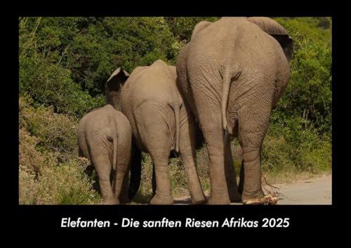 Elefanten - Die sanften Riesen Afrikas 2025 Fotokalender DIN A3: Monatskalender mit Bild-Motiven von Haustieren, Bauernhof, wilden Tieren und Raubtieren Elefanten - Die sanften Riesen Afrikas 2025 Fotokalender DIN A3: Monatskalender mit Bild-Motiven von Haustieren, Bauernhof, wilden Tieren und Raubtieren