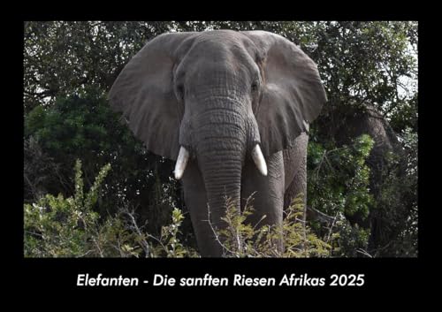 Elefanten - Die sanften Riesen Afrikas 2025 Fotokalender DIN A3: Monatskalender mit Bild-Motiven von Haustieren, Bauernhof, wilden Tieren und Raubtieren Elefanten - Die sanften Riesen Afrikas 2025 Fotokalender DIN A3: Monatskalender mit Bild-Motiven von Haustieren, Bauernhof, wilden Tieren und Raubtieren