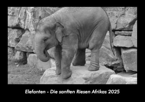 Elefanten - Die sanften Riesen Afrikas 2025 Fotokalender DIN A3: Monatskalender mit Bild-Motiven von Haustieren, Bauernhof, wilden Tieren und Raubtieren Elefanten - Die sanften Riesen Afrikas 2025 Fotokalender DIN A3: Monatskalender mit Bild-Motiven von Haustieren, Bauernhof, wilden Tieren und Raubtieren