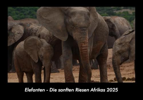 Elefanten - Die sanften Riesen Afrikas 2025 Fotokalender DIN A3: Monatskalender mit Bild-Motiven von Haustieren, Bauernhof, wilden Tieren und Raubtieren Elefanten - Die sanften Riesen Afrikas 2025 Fotokalender DIN A3: Monatskalender mit Bild-Motiven von Haustieren, Bauernhof, wilden Tieren und Raubtieren