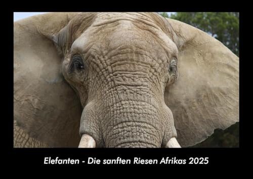 Elefanten - Die sanften Riesen Afrikas 2025 Fotokalender DIN A3: Monatskalender mit Bild-Motiven von Haustieren, Bauernhof, wilden Tieren und Raubtieren Elefanten - Die sanften Riesen Afrikas 2025 Fotokalender DIN A3: Monatskalender mit Bild-Motiven von Haustieren, Bauernhof, wilden Tieren und Raubtieren