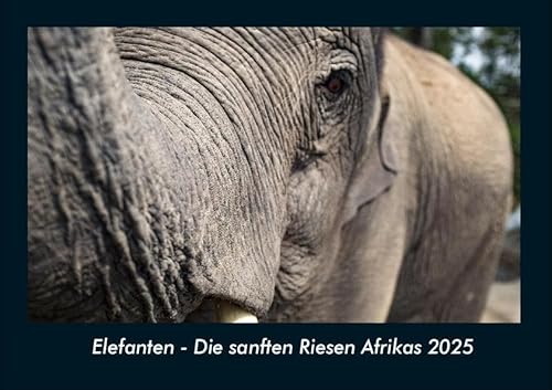 Elefanten - Die sanften Riesen Afrikas 2025 Fotokalender DIN A4: Monatskalender mit Bild-Motiven von Haustieren, Bauernhof, wilden Tieren und Raubtieren Elefanten - Die sanften Riesen Afrikas 2025 Fotokalender DIN A4: Monatskalender mit Bild-Motiven von Haustieren, Bauernhof, wilden Tieren und Raubtieren