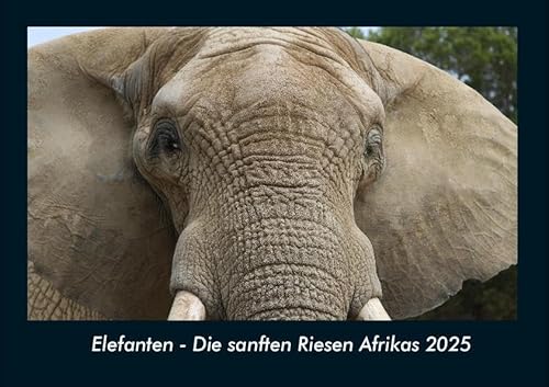 Elefanten - Die sanften Riesen Afrikas 2025 Fotokalender DIN A4: Monatskalender mit Bild-Motiven von Haustieren, Bauernhof, wilden Tieren und Raubtieren Elefanten - Die sanften Riesen Afrikas 2025 Fotokalender DIN A4: Monatskalender mit Bild-Motiven von Haustieren, Bauernhof, wilden Tieren und Raubtieren