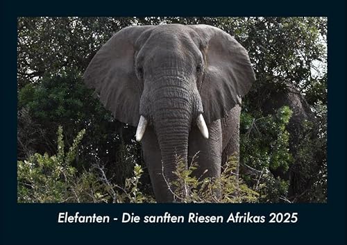 Elefanten - Die sanften Riesen Afrikas 2025 Fotokalender DIN A4: Monatskalender mit Bild-Motiven von Haustieren, Bauernhof, wilden Tieren und Raubtieren Elefanten - Die sanften Riesen Afrikas 2025 Fotokalender DIN A4: Monatskalender mit Bild-Motiven von Haustieren, Bauernhof, wilden Tieren und Raubtieren