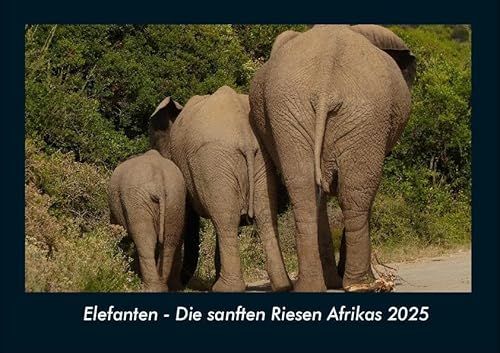 Elefanten - Die sanften Riesen Afrikas 2025 Fotokalender DIN A4: Monatskalender mit Bild-Motiven von Haustieren, Bauernhof, wilden Tieren und Raubtieren Elefanten - Die sanften Riesen Afrikas 2025 Fotokalender DIN A4: Monatskalender mit Bild-Motiven von Haustieren, Bauernhof, wilden Tieren und Raubtieren
