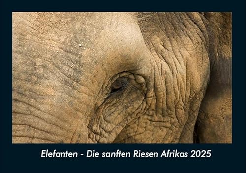 Elefanten - Die sanften Riesen Afrikas 2025 Fotokalender DIN A4: Monatskalender mit Bild-Motiven von Haustieren, Bauernhof, wilden Tieren und Raubtieren Elefanten - Die sanften Riesen Afrikas 2025 Fotokalender DIN A4: Monatskalender mit Bild-Motiven von Haustieren, Bauernhof, wilden Tieren und Raubtieren