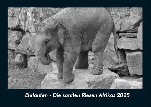 Elefanten - Die sanften Riesen Afrikas 2025 Fotokalender DIN A4: Monatskalender mit Bild-Motiven von Haustieren, Bauernhof, wilden Tieren und Raubtieren Elefanten - Die sanften Riesen Afrikas 2025 Fotokalender DIN A4: Monatskalender mit Bild-Motiven von Haustieren, Bauernhof, wilden Tieren und Raubtieren