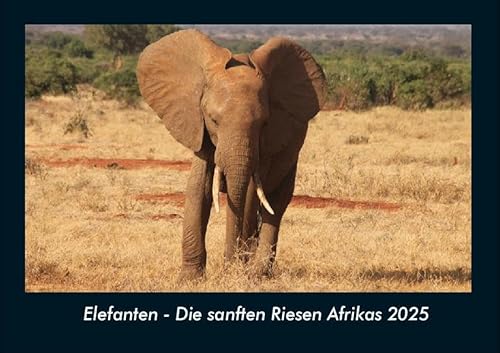 Elefanten - Die sanften Riesen Afrikas 2025 Fotokalender DIN A4: Monatskalender mit Bild-Motiven von Haustieren, Bauernhof, wilden Tieren und Raubtieren Elefanten - Die sanften Riesen Afrikas 2025 Fotokalender DIN A4: Monatskalender mit Bild-Motiven von Haustieren, Bauernhof, wilden Tieren und Raubtieren