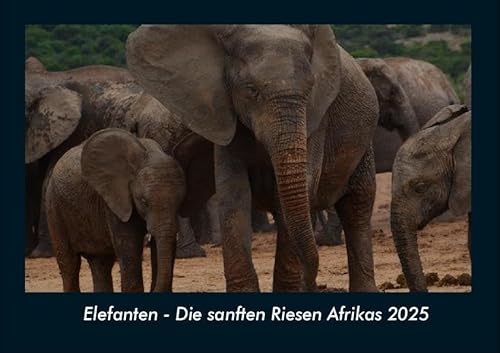 Elefanten - Die sanften Riesen Afrikas 2025 Fotokalender DIN A4: Monatskalender mit Bild-Motiven von Haustieren, Bauernhof, wilden Tieren und Raubtieren Elefanten - Die sanften Riesen Afrikas 2025 Fotokalender DIN A4: Monatskalender mit Bild-Motiven von Haustieren, Bauernhof, wilden Tieren und Raubtieren