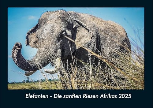 Elefanten - Die sanften Riesen Afrikas 2025 Fotokalender DIN A4: Monatskalender mit Bild-Motiven von Haustieren, Bauernhof, wilden Tieren und Raubtieren Elefanten - Die sanften Riesen Afrikas 2025 Fotokalender DIN A4: Monatskalender mit Bild-Motiven von Haustieren, Bauernhof, wilden Tieren und Raubtieren