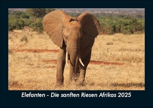 Elefanten - Die sanften Riesen Afrikas 2025 Fotokalender DIN A5: Monatskalender mit Bild-Motiven von Haustieren, Bauernhof, wilden Tieren und Raubtieren Elefanten - Die sanften Riesen Afrikas 2025 Fotokalender DIN A5: Monatskalender mit Bild-Motiven von Haustieren, Bauernhof, wilden Tieren und Raubtieren