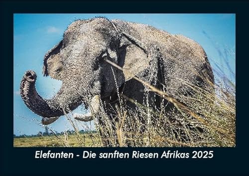 Elefanten - Die sanften Riesen Afrikas 2025 Fotokalender DIN A5: Monatskalender mit Bild-Motiven von Haustieren, Bauernhof, wilden Tieren und Raubtieren Elefanten - Die sanften Riesen Afrikas 2025 Fotokalender DIN A5: Monatskalender mit Bild-Motiven von Haustieren, Bauernhof, wilden Tieren und Raubtieren