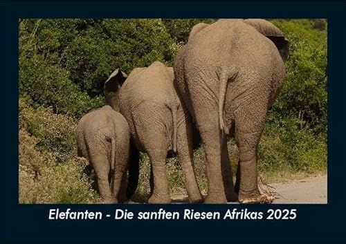 Elefanten - Die sanften Riesen Afrikas 2025 Fotokalender DIN A5: Monatskalender mit Bild-Motiven von Haustieren, Bauernhof, wilden Tieren und Raubtieren Elefanten - Die sanften Riesen Afrikas 2025 Fotokalender DIN A5: Monatskalender mit Bild-Motiven von Haustieren, Bauernhof, wilden Tieren und Raubtieren