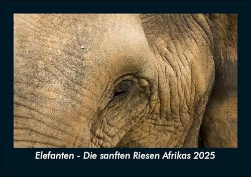 Elefanten - Die sanften Riesen Afrikas 2025 Fotokalender DIN A5: Monatskalender mit Bild-Motiven von Haustieren, Bauernhof, wilden Tieren und Raubtieren Elefanten - Die sanften Riesen Afrikas 2025 Fotokalender DIN A5: Monatskalender mit Bild-Motiven von Haustieren, Bauernhof, wilden Tieren und Raubtieren