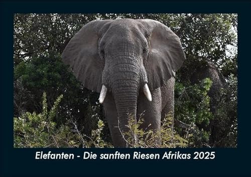 Elefanten - Die sanften Riesen Afrikas 2025 Fotokalender DIN A5: Monatskalender mit Bild-Motiven von Haustieren, Bauernhof, wilden Tieren und Raubtieren Elefanten - Die sanften Riesen Afrikas 2025 Fotokalender DIN A5: Monatskalender mit Bild-Motiven von Haustieren, Bauernhof, wilden Tieren und Raubtieren