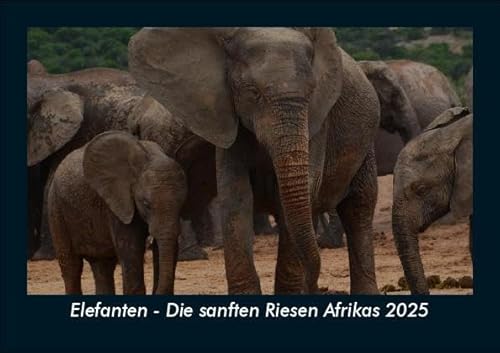 Elefanten - Die sanften Riesen Afrikas 2025 Fotokalender DIN A5: Monatskalender mit Bild-Motiven von Haustieren, Bauernhof, wilden Tieren und Raubtieren Elefanten - Die sanften Riesen Afrikas 2025 Fotokalender DIN A5: Monatskalender mit Bild-Motiven von Haustieren, Bauernhof, wilden Tieren und Raubtieren