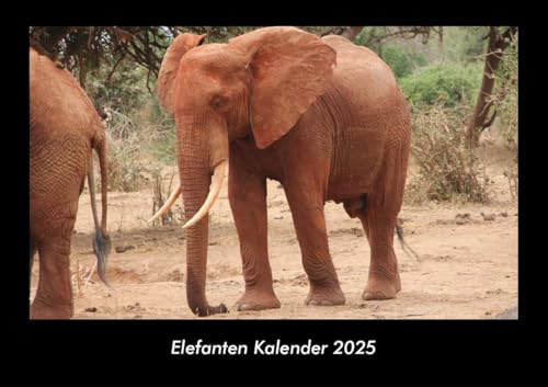 Elefanten Kalender 2025 Fotokalender DIN A3: Monatskalender mit Bild-Motiven von Haustieren, Bauernhof, wilden Tieren und Raubtieren Elefanten Kalender 2025 Fotokalender DIN A3: Monatskalender mit Bild-Motiven von Haustieren, Bauernhof, wilden Tieren und Raubtieren