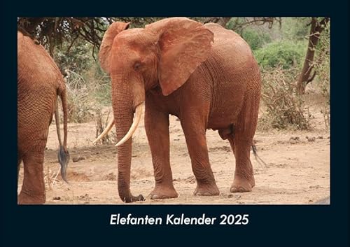 Elefanten Kalender 2025 Fotokalender DIN A4: Monatskalender mit Bild-Motiven von Haustieren, Bauernhof, wilden Tieren und Raubtieren Elefanten Kalender 2025 Fotokalender DIN A4: Monatskalender mit Bild-Motiven von Haustieren, Bauernhof, wilden Tieren und Raubtieren