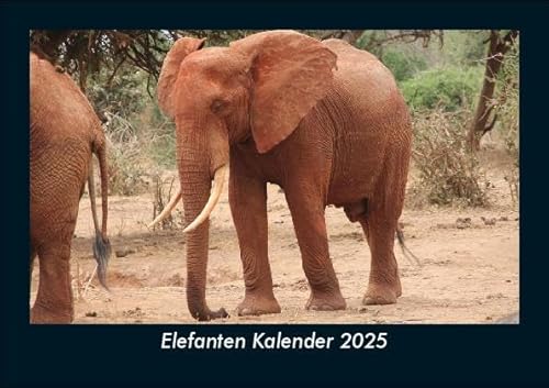 Elefanten Kalender 2025 Fotokalender DIN A5: Monatskalender mit Bild-Motiven von Haustieren, Bauernhof, wilden Tieren und Raubtieren Elefanten Kalender 2025 Fotokalender DIN A5: Monatskalender mit Bild-Motiven von Haustieren, Bauernhof, wilden Tieren und Raubtieren