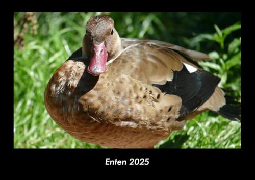 Enten 2025 Fotokalender DIN A3: Monatskalender mit Bild-Motiven von Haustieren, Bauernhof, wilden Tieren und Raubtieren Enten 2025 Fotokalender DIN A3: Monatskalender mit Bild-Motiven von Haustieren, Bauernhof, wilden Tieren und Raubtieren