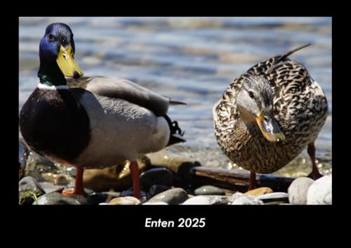 Enten 2025 Fotokalender DIN A3: Monatskalender mit Bild-Motiven von Haustieren, Bauernhof, wilden Tieren und Raubtieren Enten 2025 Fotokalender DIN A3: Monatskalender mit Bild-Motiven von Haustieren, Bauernhof, wilden Tieren und Raubtieren